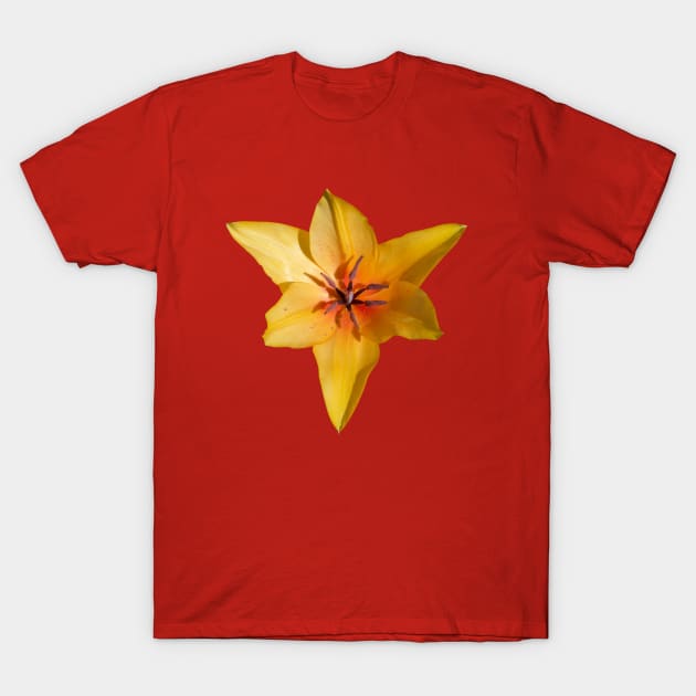 Tulip Triangle T-Shirt by VrijFormaat